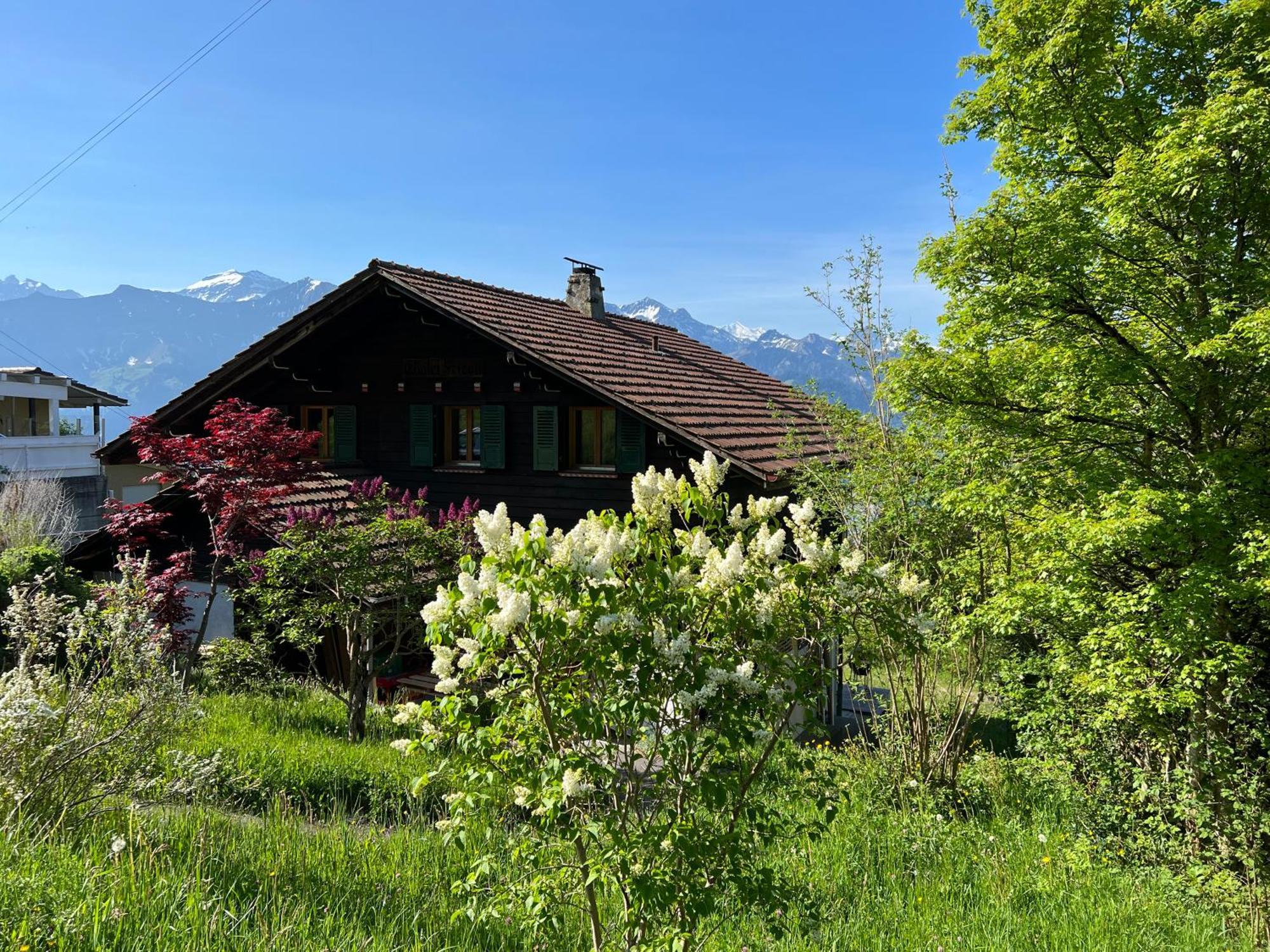 Chalet Friesli บีอาเตนแบร์ก ภายนอก รูปภาพ